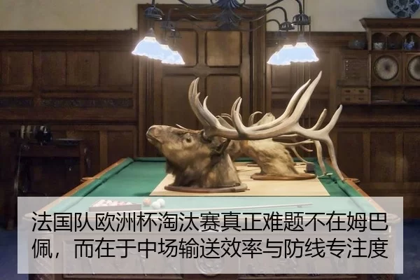 fa-guo-dui-ou-zhou-bei-tao-tai-sai-zhen-zheng-nan-ti-bu-zai-mu-ba-pei-er-zai-yu-zhong-chang-shu-song-xiao-lv-yu-fang-3-968.jpg