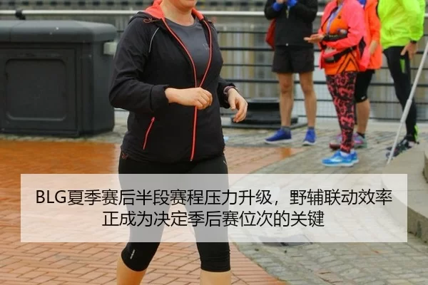 BLG夏季赛后半段赛程压力升级，野辅联动效率正成为决定季后赛位次的关键